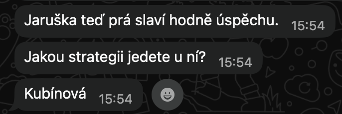 Přehled leadů z kampaní Jaroslava Kubínová